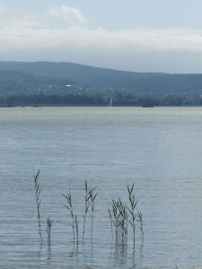 Balaton 1