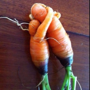 Carrots