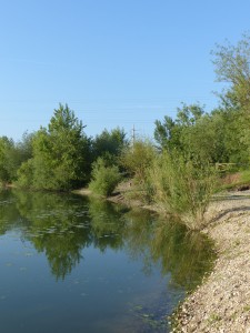 Zagreb Lake 2