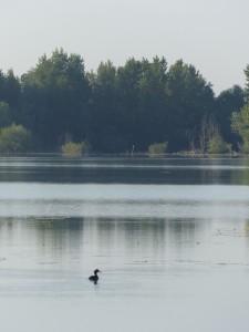 Zagreb Lake