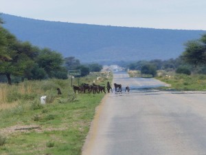 Tarmac Road